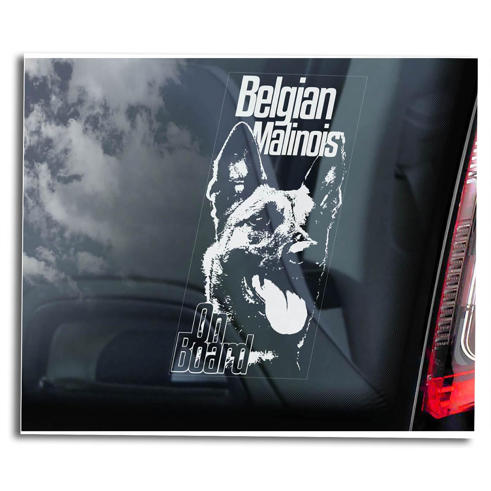 Belgian Malinois Car Sticker, Window Sign, Vehicle Decal, Security Warning, Pet Dog Owner Gift -V06 (External - White Print)