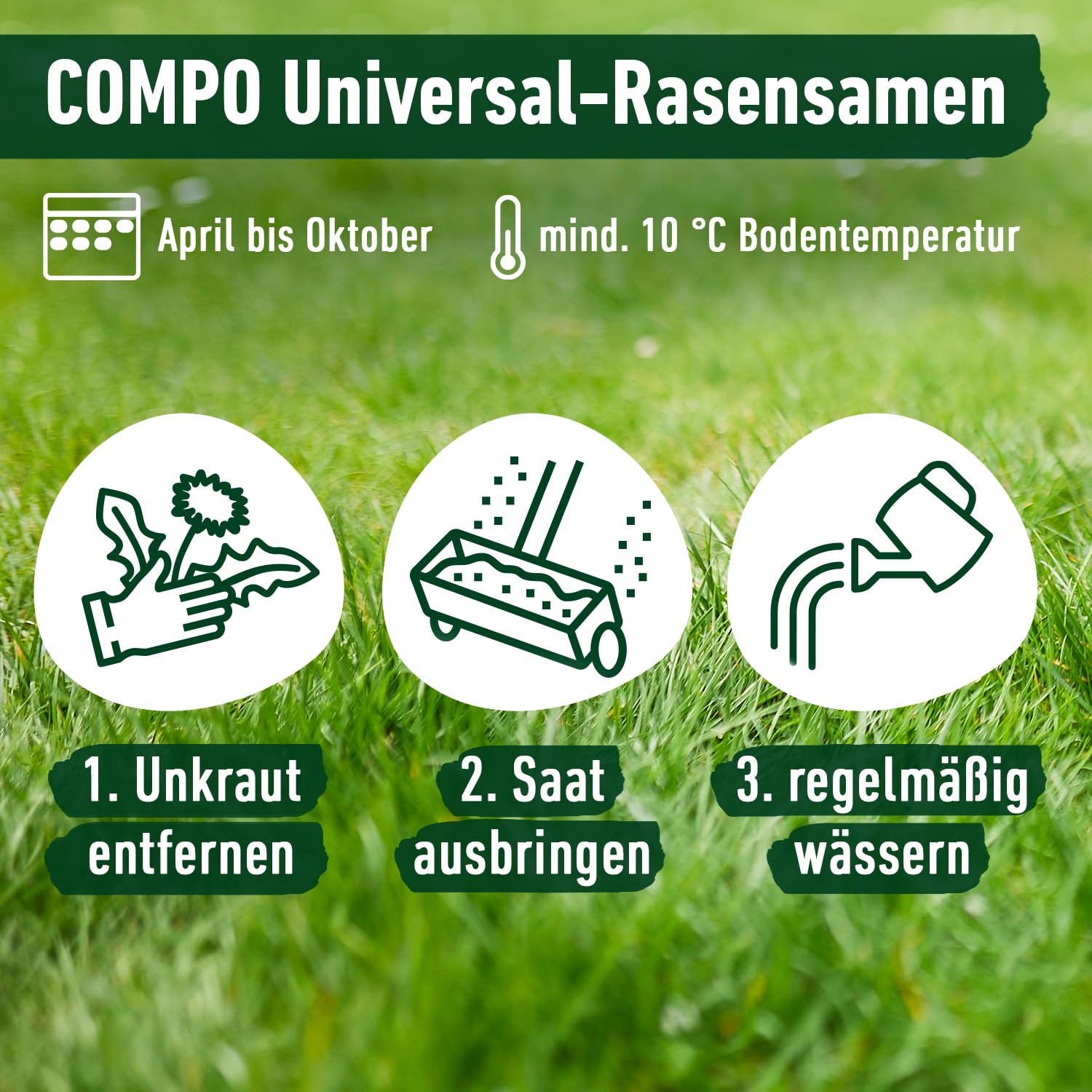 COMPO schnell keimende Universal Rasensamen 5kg für 250 m², für Spiel- und Sportrasen, ideal bei Hitze und Trockenheit, grün