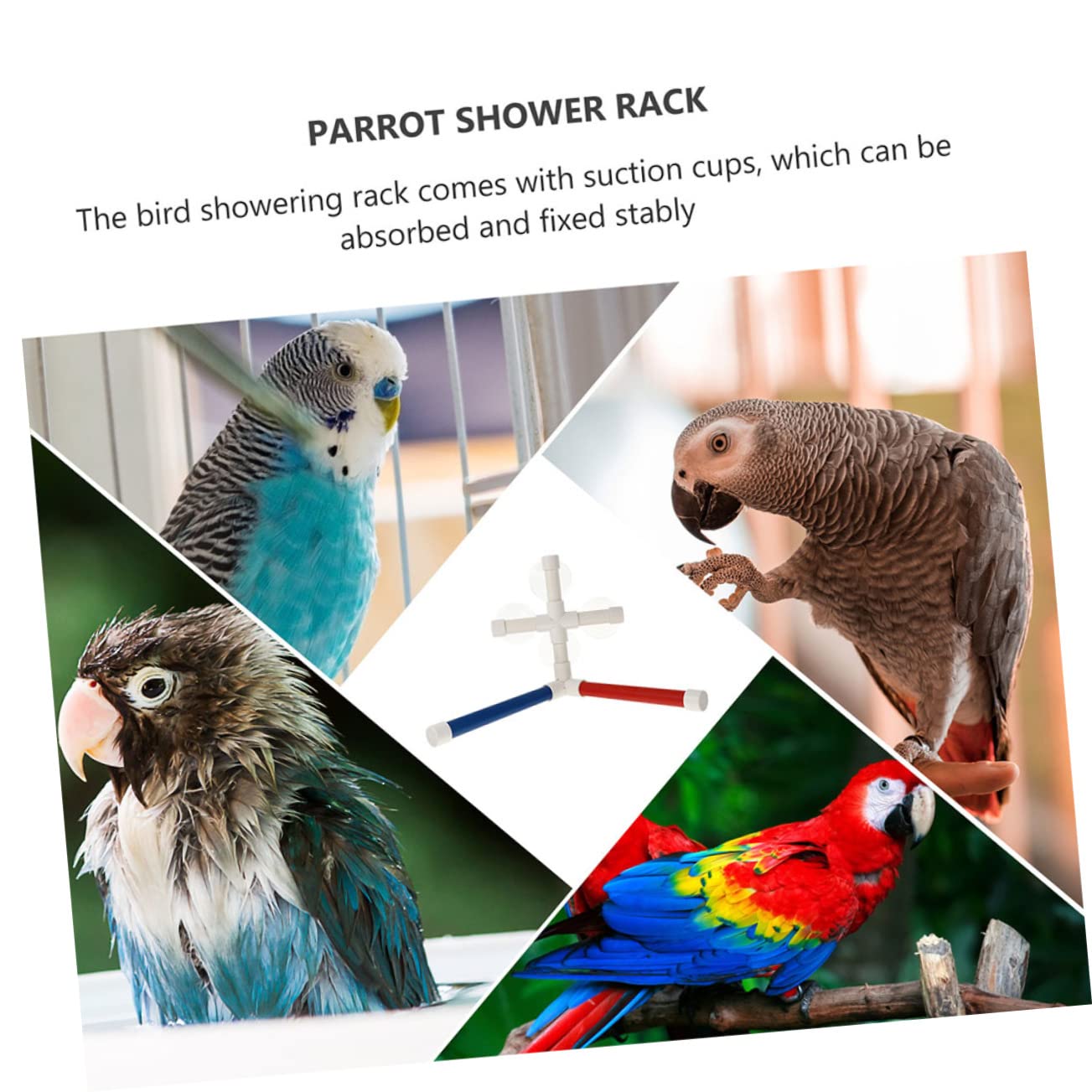 Mipcase 2juegos Soporte De Baño para Aves Juguete Divertido Estante para Periquitos Juguete De Entrenamiento para Aves Diseño Multiusos para Periquitos y Loros