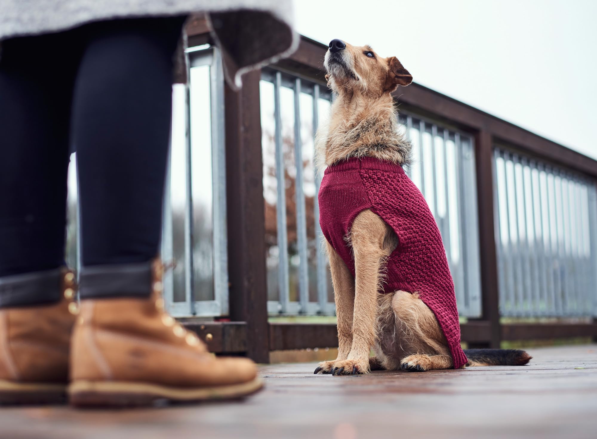 Jersey para Perro Hunter Malmö Burdeos