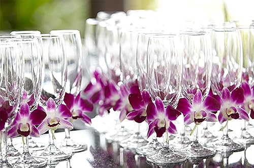 Miniatura 6 de Miami Fresh Orchid Flower OrchidClub USA Sunne Tropical Loose Bloom DIY Lei, decoración de alimentos y bebidas (50 morado)