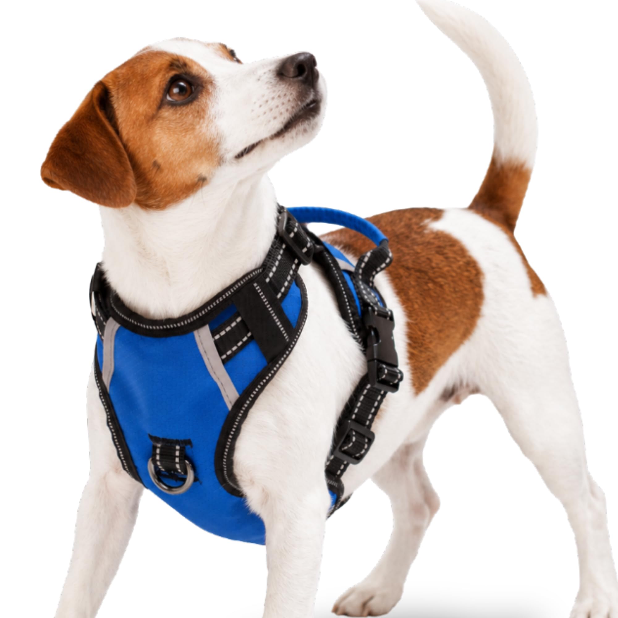 Puwihoe No Pull Dog Harness, Reflective Walking Dog Harness with Easy Control Handle and Front & Back Clips,Adjustable Breathable Soft Padded Dog Vest Harness for Beagle Dog,Blue,M โ image 1