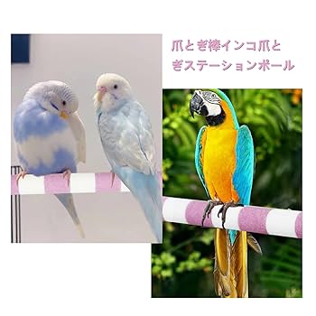 Amazon | DIFEIUKI 鳥 止まり木 2本セット 鳥用パーチ ねじ止め