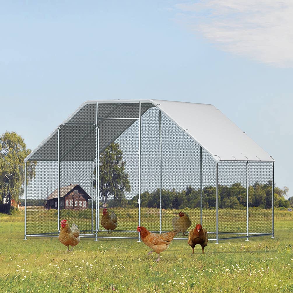 Buy Dulcii Chicken Coop, 2021 Upgrade Large Metal Chicken Coop Walkin