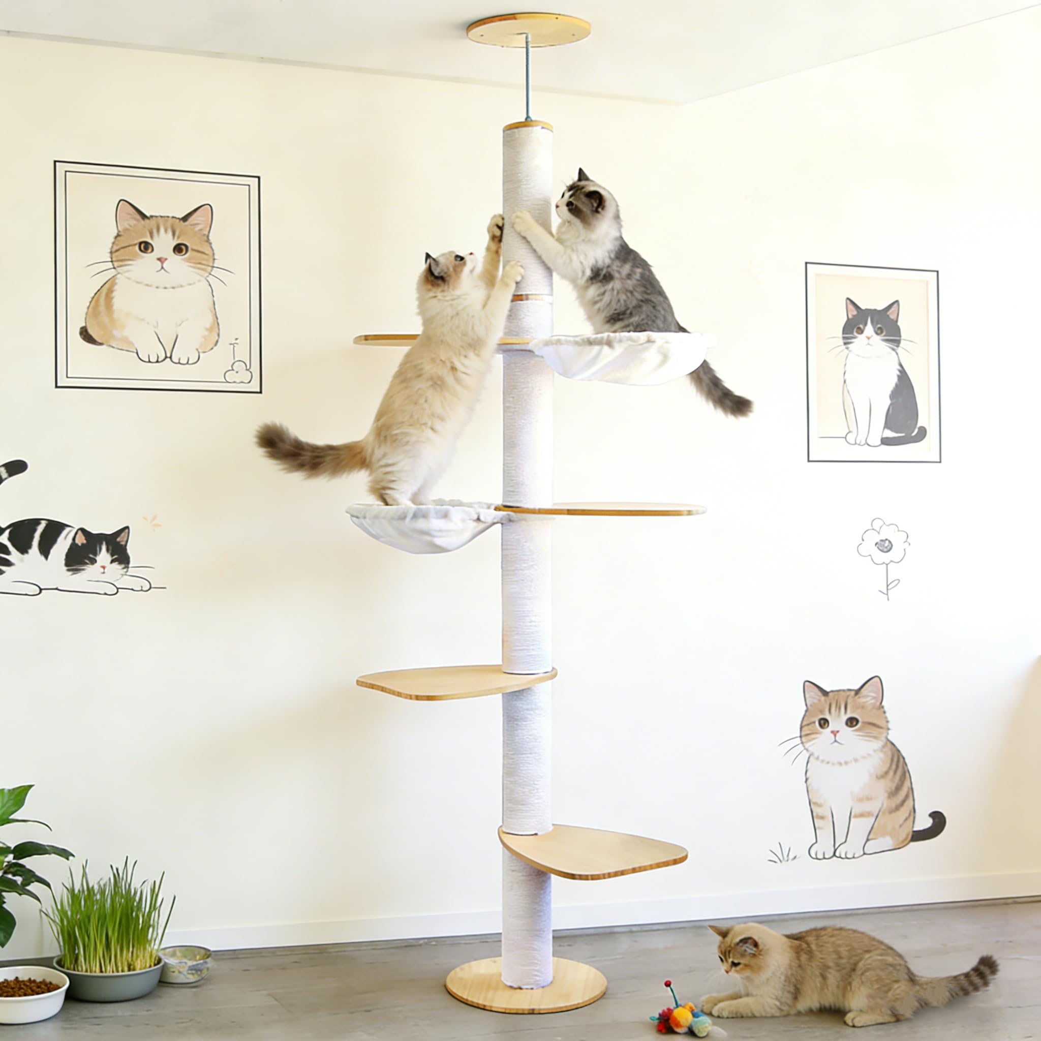 Arbre à Chat à Hauteur de Plafond – Centre d'activités d'escalade pour Chats à 5 étages avec griffoir, 4 Niveaux, 2 hamacs, réglable en Hauteur 190–260 cm, du Sol au Plafond, Peu encombrant et Stable