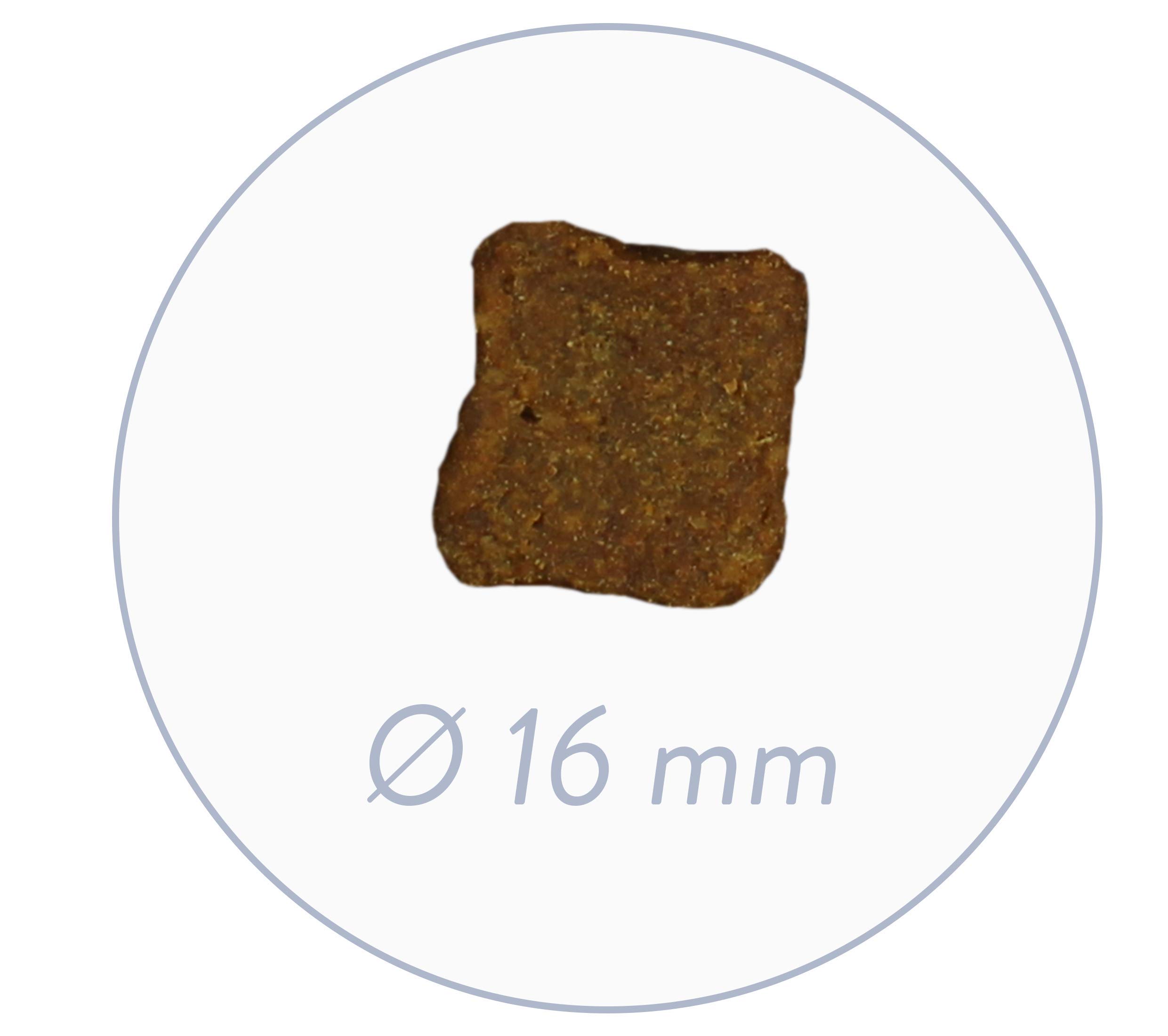 Bosch HPC Soft Hühnchen & Banane | halbfeuchtes Hundefutter für ausgewachsene Hunde Aller Rassen | 1 x 12.5 kg & HPC Soft Land-Ente & Kartoffel | halbfeuchtes Hundefutter | 1 x 12.5 kg