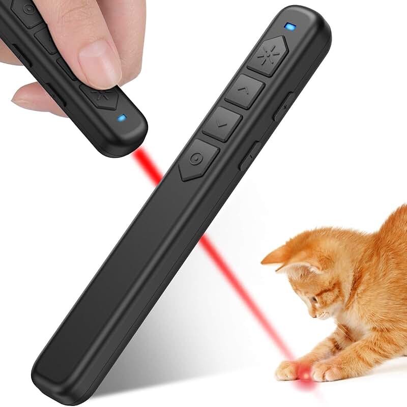 Amazon.ca laser pointer