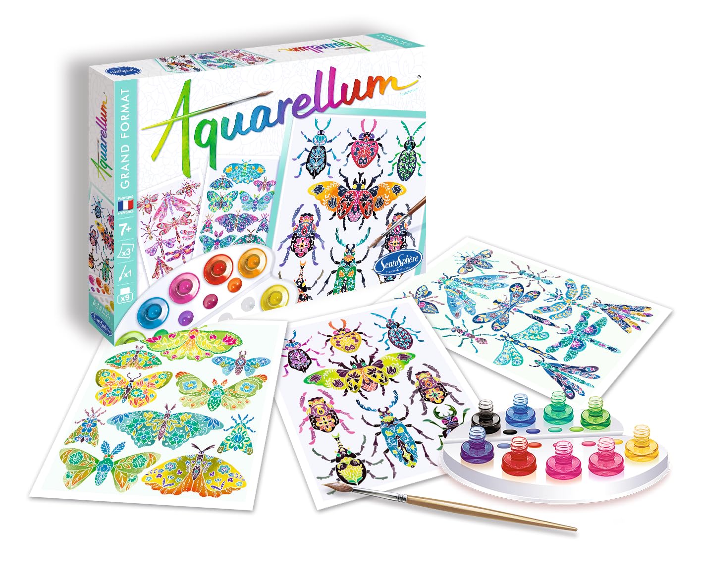 SentoSphre - Aquarellum 3D - Insects - Art and Creations - Painting Kit to Make Beautiful Insects in Relief - for Children from 7 Years Old - Made in France