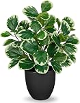 14.5" Artificial Plants Indoor Home Decor, Fake Potted Silk Plants for Shelves Living Room Decorative, Small Artificial Office Desk Plants in Pots, Faux Peperomia Hope Tropical House Plant
