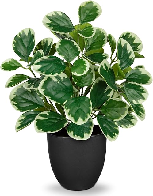 14.5" Artificial Plants Indoor Home Decor, Fake Potted Silk Plants for Shelves Living Room Decorative, Small Artificial Office Desk Plants in Pots, Faux Peperomia Hope Tropical House Plant
