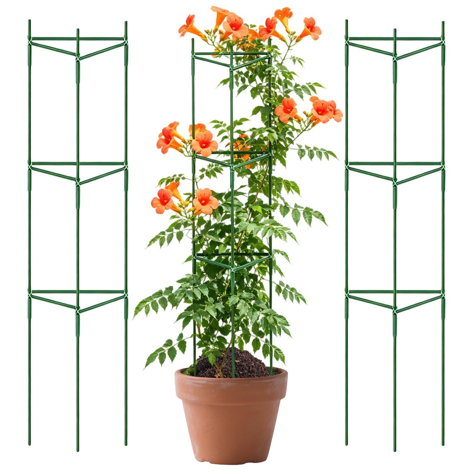 Cages à tomates réglables et extensibles pour légumes et potager