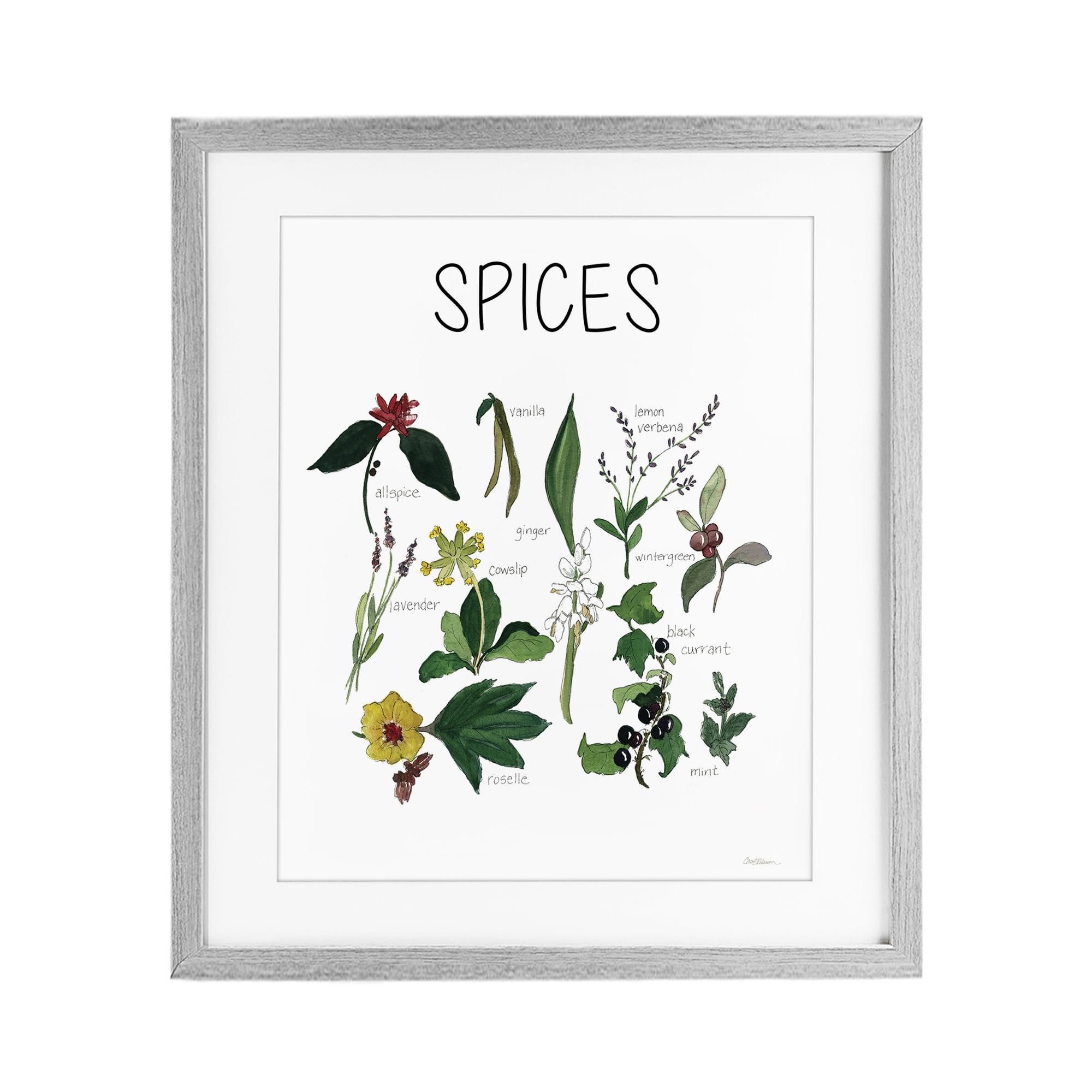 'Spices Identification Chart'| Framed Print Under Glass