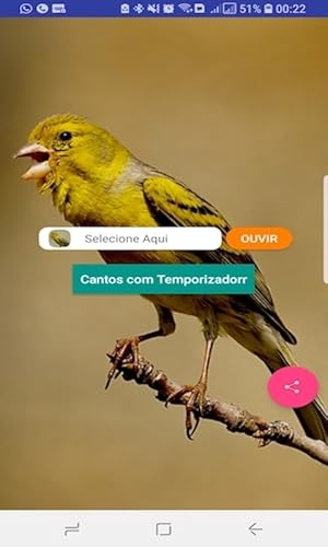 Cantos do Canário Belga