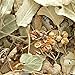 Frontier Co-op Dried Whole Linden Flowers With Bracts, 8 oz, Bulk Bag - For Herbal Tea, Blends, and DIY Lotions and Skincare