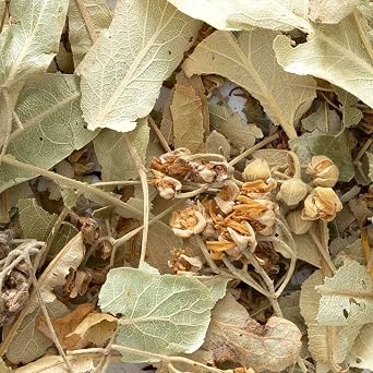 Frontier Co-op Dried Whole Linden Flowers With Bracts, 8 oz, Bulk Bag - For Herbal Tea, Blends, and DIY Lotions and Skincare