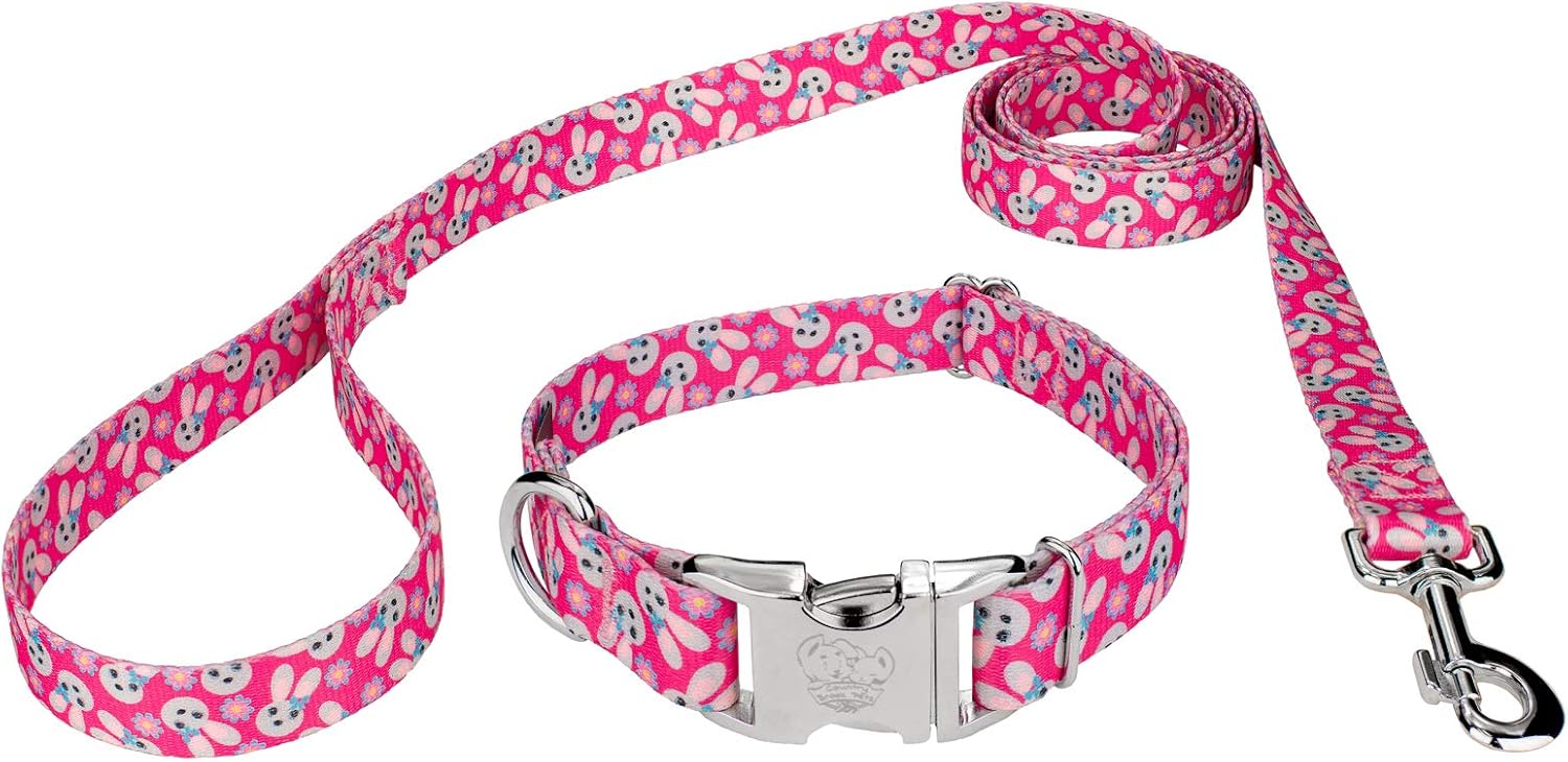 Country Brook Petz - Premium Spring Bunnies Dog Collar and Leash Limited Edition - Spring Collection Featuring Springtime Designs (1 Inch, Medium)