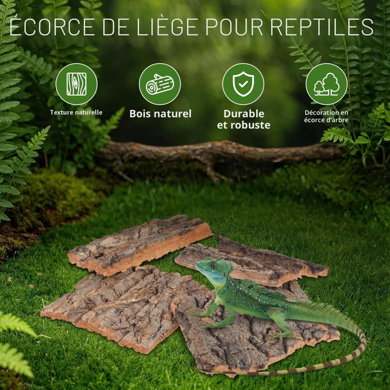 DOITOOL Lot de 4 Toiles de Fond en écorce de liège Naturel pour Reptiles, Escalade, Terrarium, Perche en Liège Naturel Accessoires décoratifs pour Oiseaux Tortue Lézard (Couleur Bois)