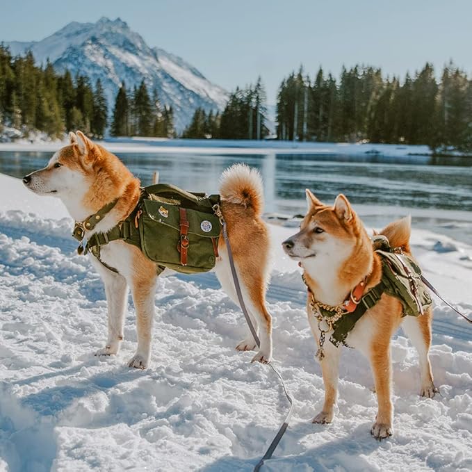 wolf republic dog backpack