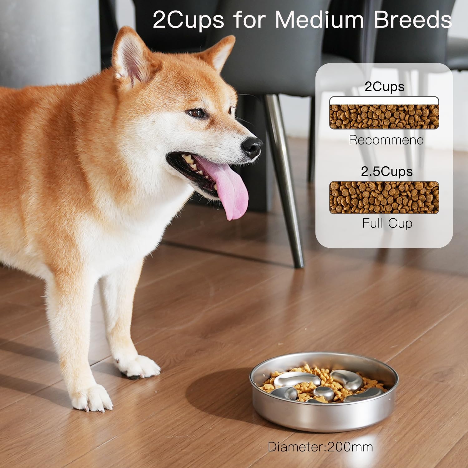 Slow Feed Smart: The Ultimate Stainless Steel Dog Bowl to Curb Overeating!