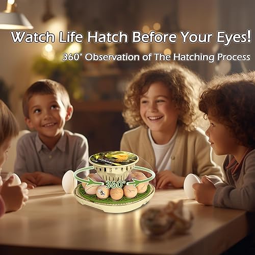 Miniatura 5 de WYD2ANG Incubadoras inteligentes de pollo para incubar huevos con volteador automático, aves, pato, codorniz, incubadora de 12 huevos, pantalla de
