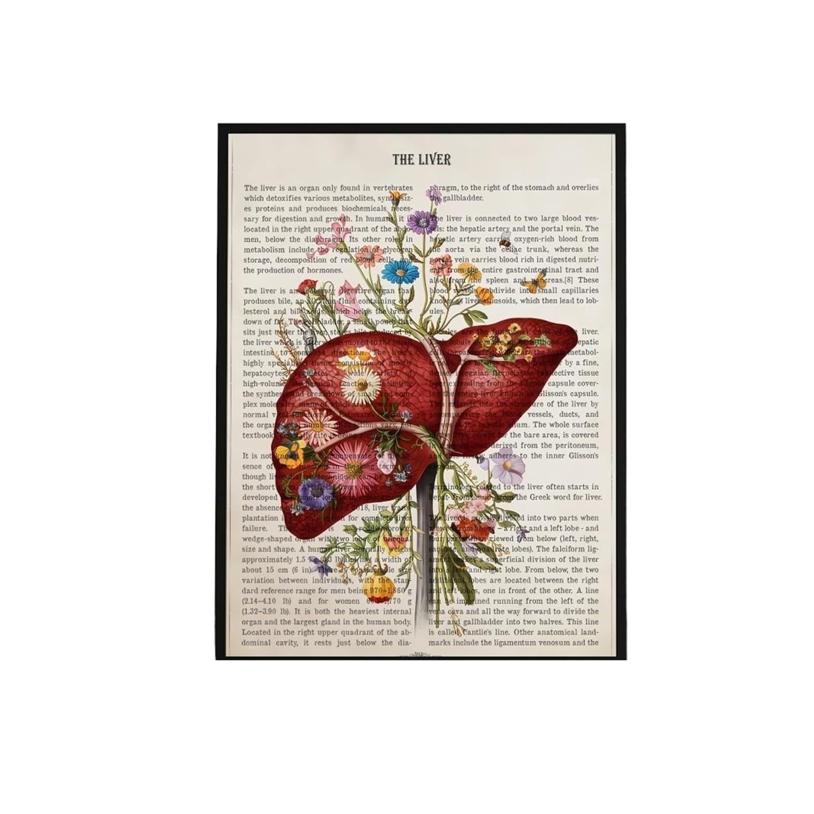 1 Szt. Plakat Z Anatomią Narządów Kwiatowych Wodoodporny, Samoprzylepny, Trwały Wystrój Idealny Do Przedpokoju W Sypialni I Kuchni | White12,40X50cmNoframe