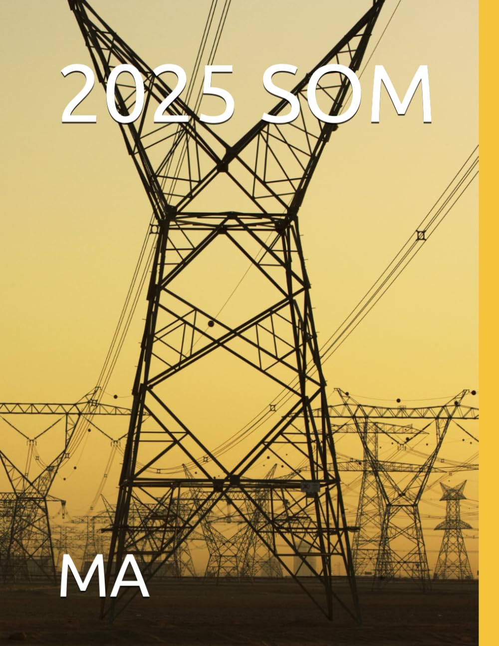 2025 SOM