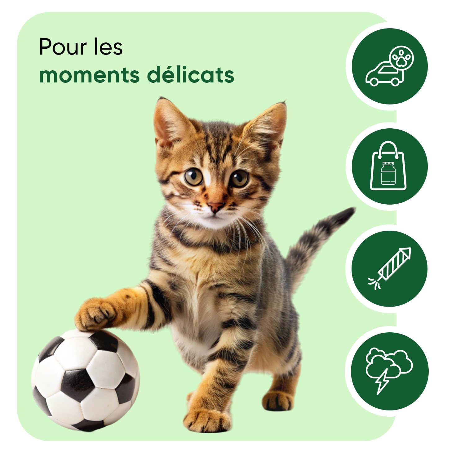 Animigo Calmant Chat - 120 Friandises pour Chats - Bouchées Tendres avec Taurine, Ashwagandha, Passiflore, Mélisse, Vitamine B1 et Magnésium - Friandise Multi-Usages