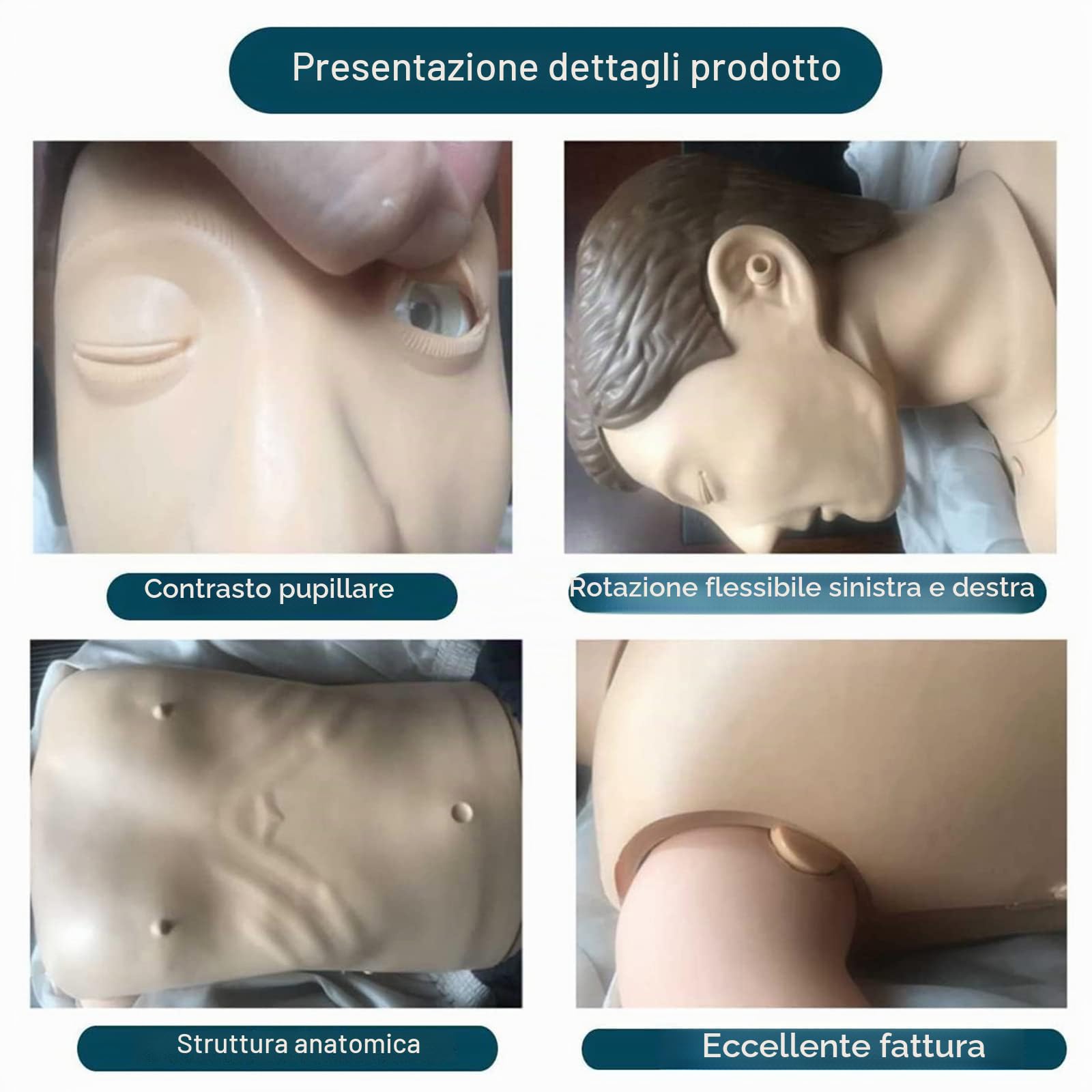 ZMIN CPR Manichino didattico Adulto, Professionale Formazione Manichino Primo Soccorso Modello Medico Umano per Addestramento al Pronto Soccorso