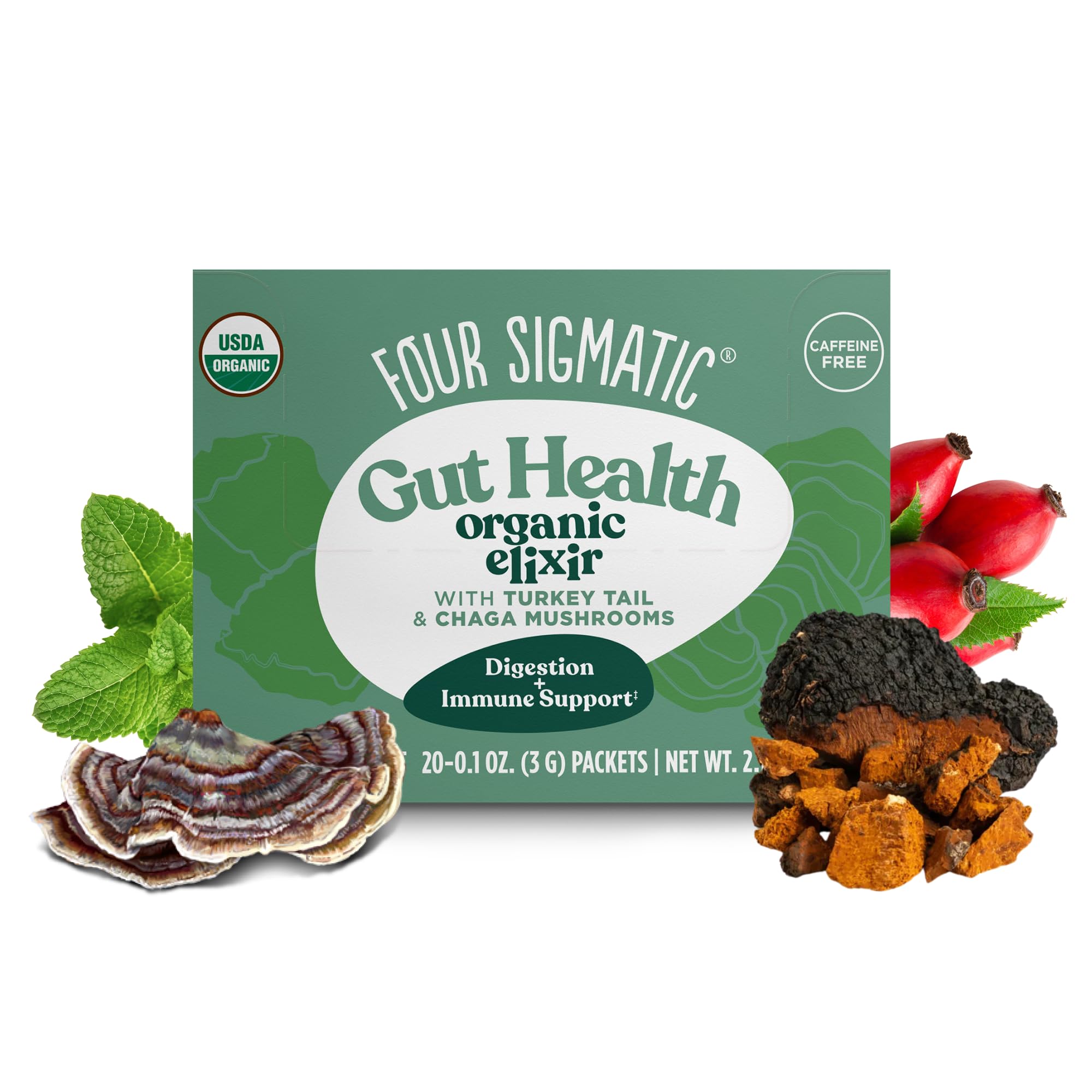 Four Sigmatic Foods Chaga Mushroom Elixir, Organic Chaga Mushroom Powder with Rose HIPS & Mint, Immune Support & Overall Wellness, 20 Counts of 0.1oz (3 G)