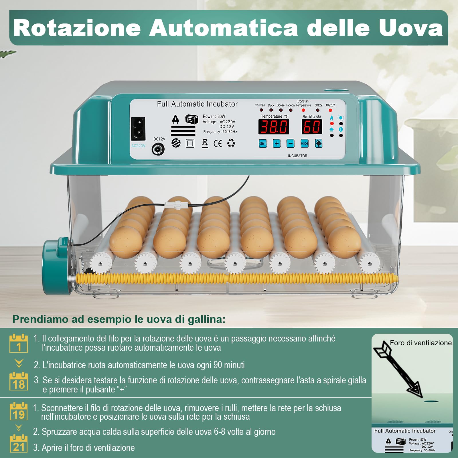 CoInceptus Incubatrice per Uova Automatica, Incubatrice per 24-36 Uova con Rotazione Automatica delle Uova e Aggiunta Automatica dell'acqua, Incubatrice con 4 Modalità di Incubazione Automatiche