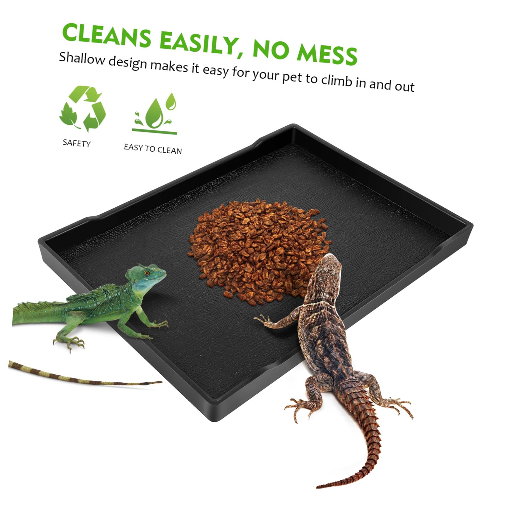 BESPORTBLE Plato De Alimentación para Cuenco De Comida para Reptiles Plato para Comida Y Agua De Lagarto Accesorios para Reptiles 5 Uds.