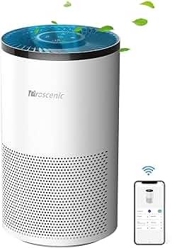 71lxiBB5QcL._UF350,350_QL50_.jpg