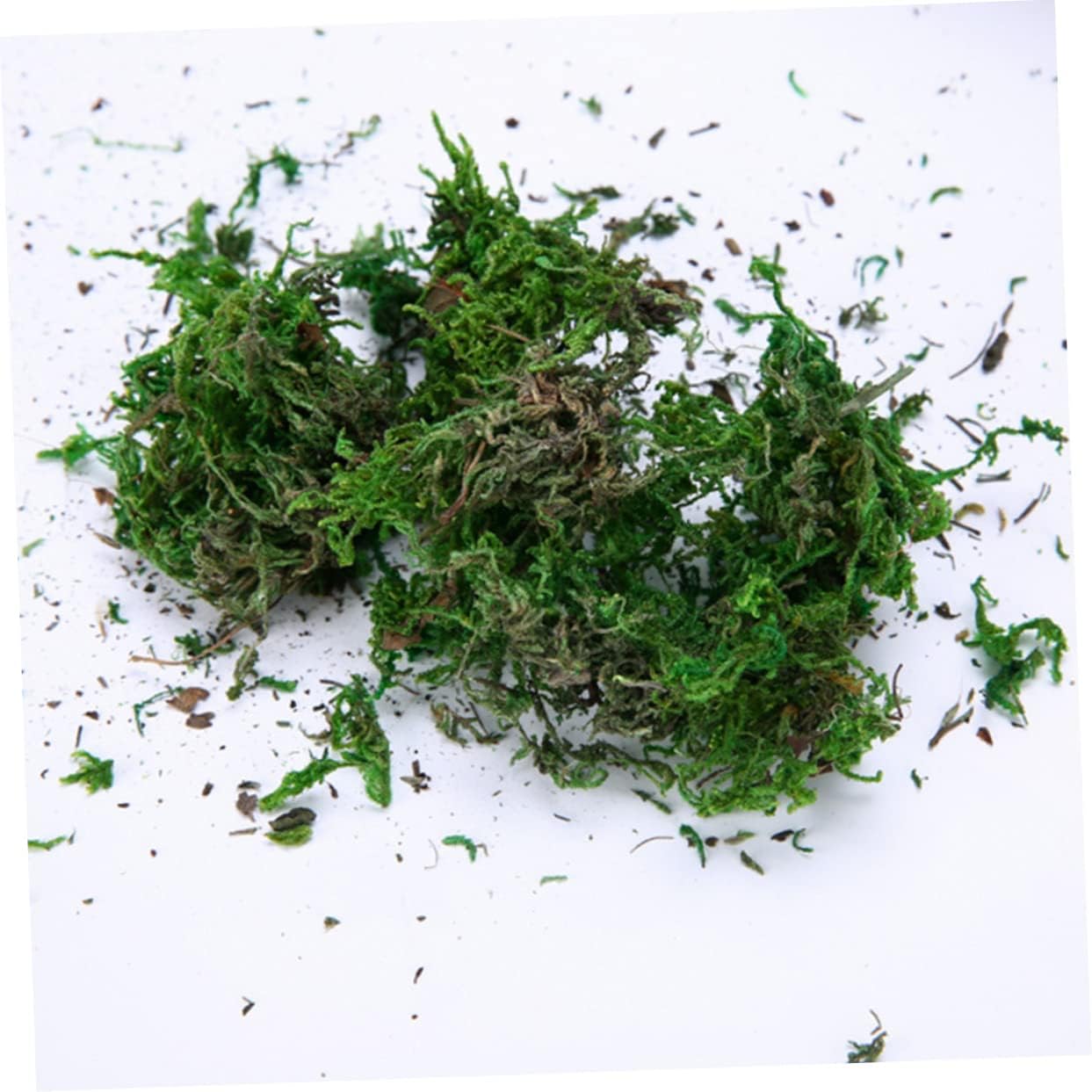 Artificial Moss Floral Accent for Potted Plants and Terrariums