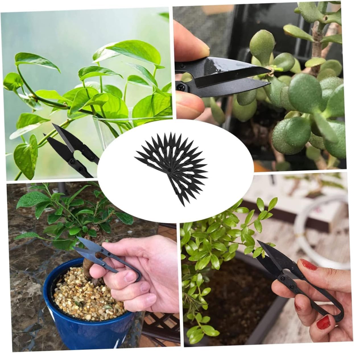 balacoo 48pcs Professional Bonsai Pruning Scissors High Trimmer for Buds Leaves Garden Tool for Precision Trimming and Plant Care