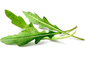 RDR Seeds 500 Roquette Arugula Seeds - Heirloom Non-GMO