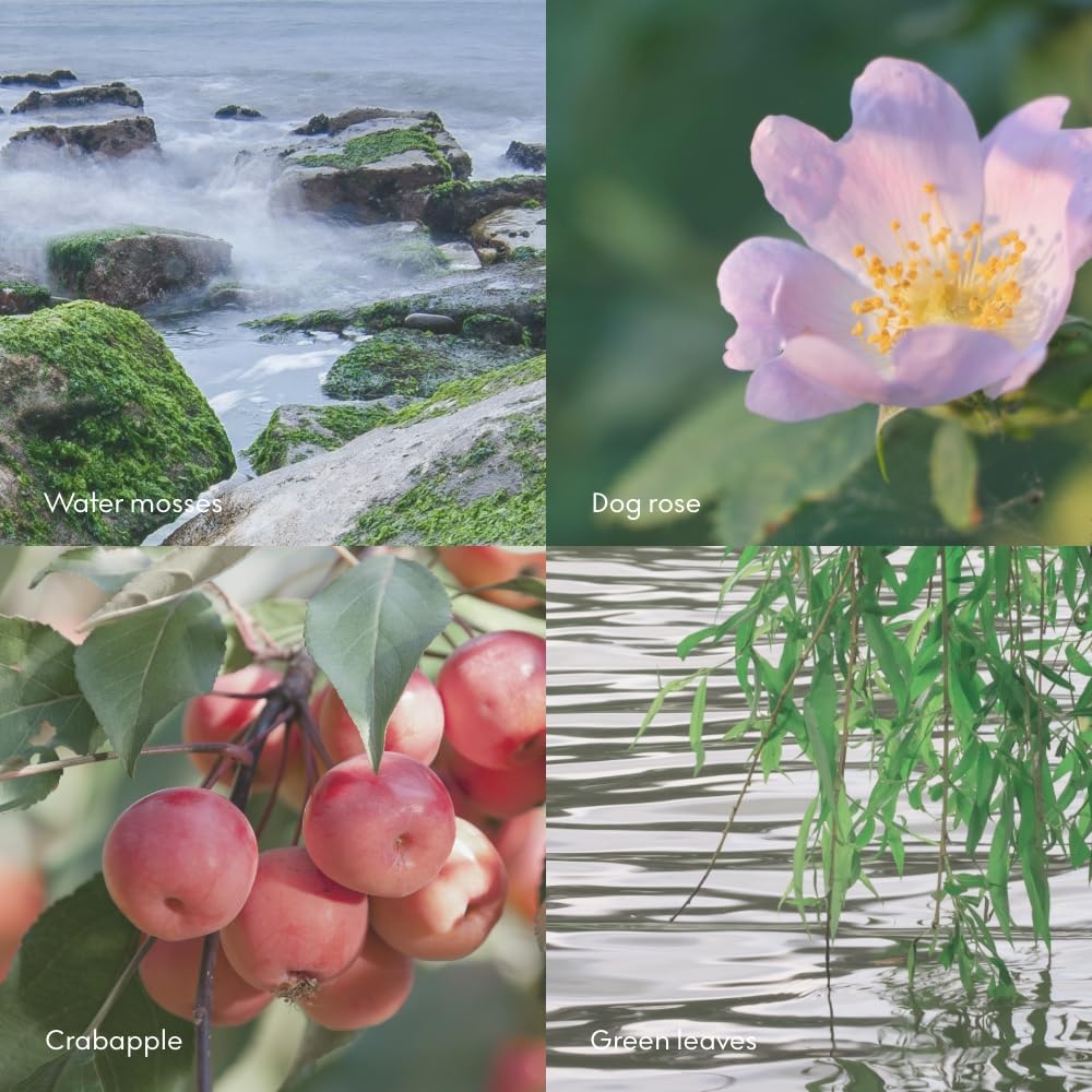 Skandinavisk ØY dyfuzor trzcinowy "Island" z 8 trzcinami, utrzymuje +3 miesiące. Nuty zapachowe: Crabapple i Dog Rose, mchy wodne i zielone liście, 100 ml