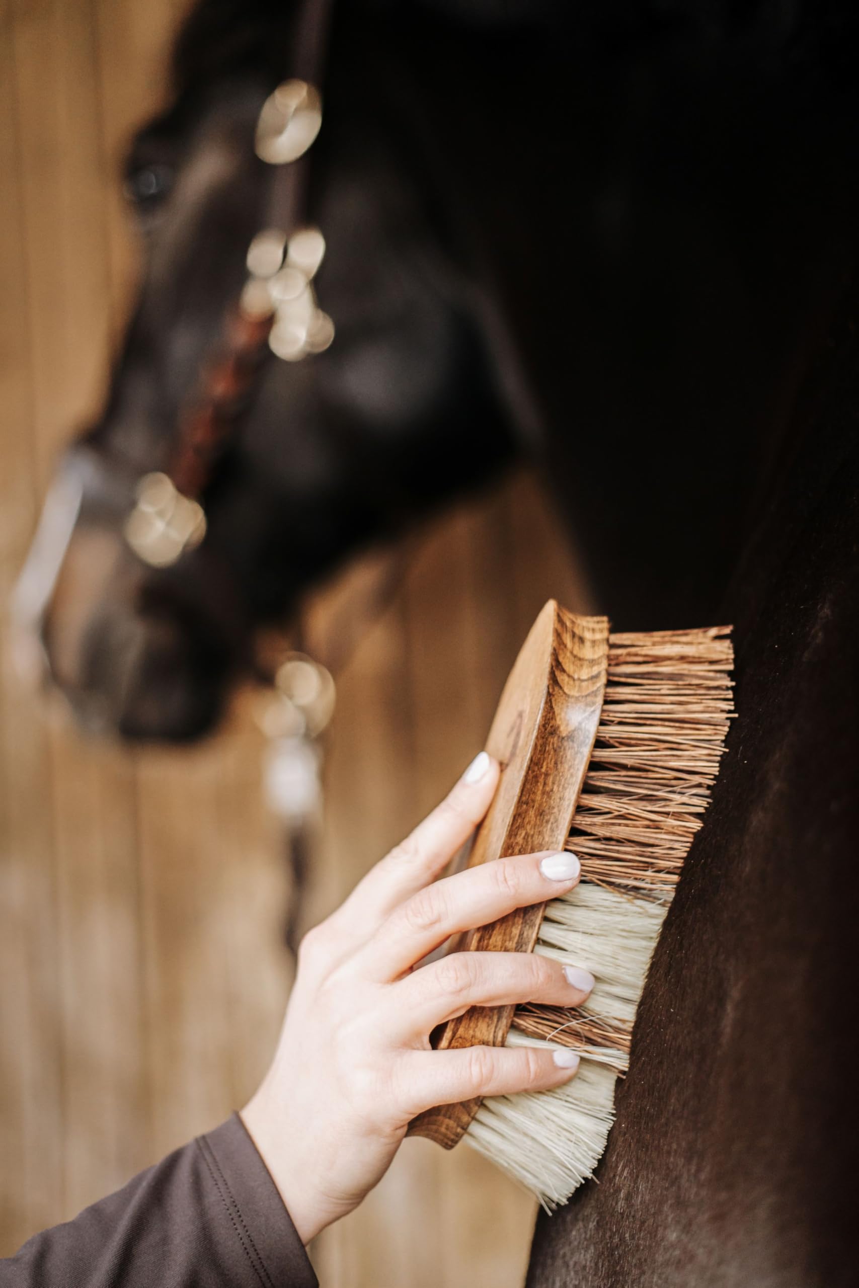 Cepillo duro para caballos – de madera con cerdas de coco y sisal | Limpieza profunda y natural del pelaje | Cepillo robusto para el cuidado diario y la rutina de grooming