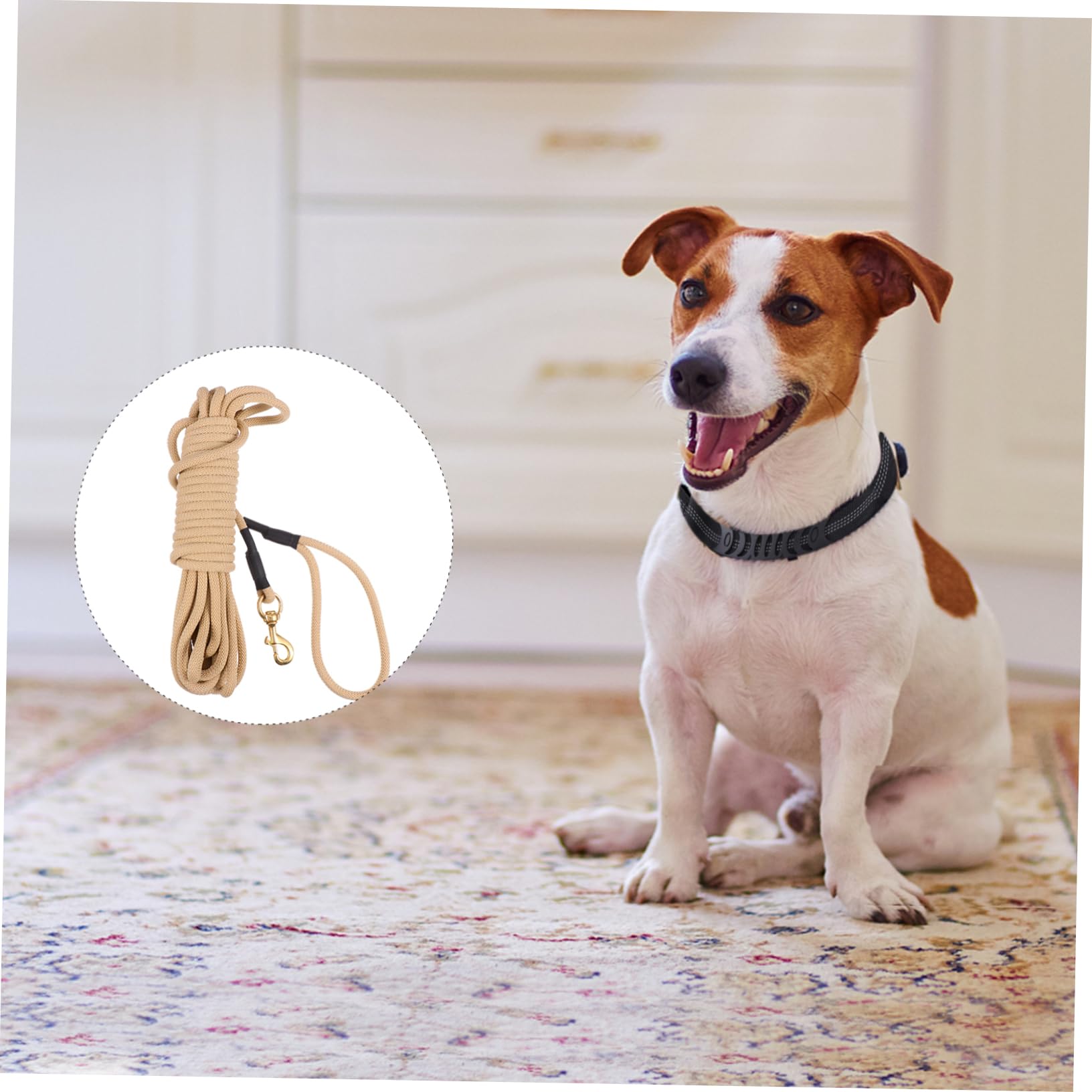 Abaodam Laisse Longue Corde de Mètres pour Chien Résistante et Confortable pour Promenades et Entraînements Extérieur