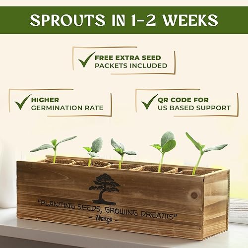 Miniatura 4 de Kit de árbol bonsái para principiantes  5 árboles bonzai japoneses únicos  Kit completo de inicio de bonsái de interior para cultivar plantas bonsái