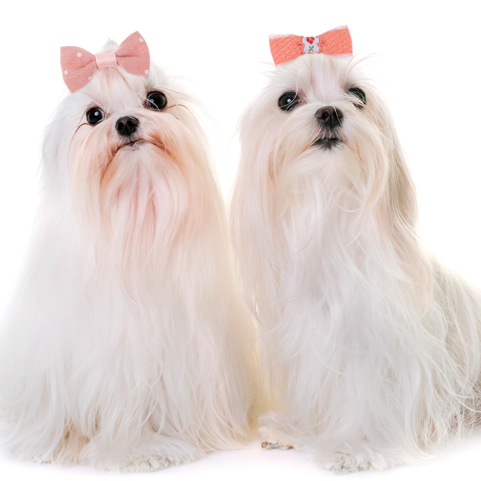 GEEHUA 20 Pcs Dog Hair Bows for Small Dogs, Cute Puppy Hair Bows Puppy Dog Hair Accessories Puppy Dog Bowknot Hair Bow Bulk Grooming Flower Ball Bows Topknot for Pet