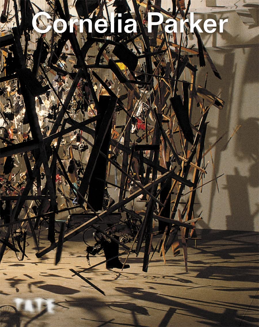 Cornelia Parker: Exploring Her Art and Craft