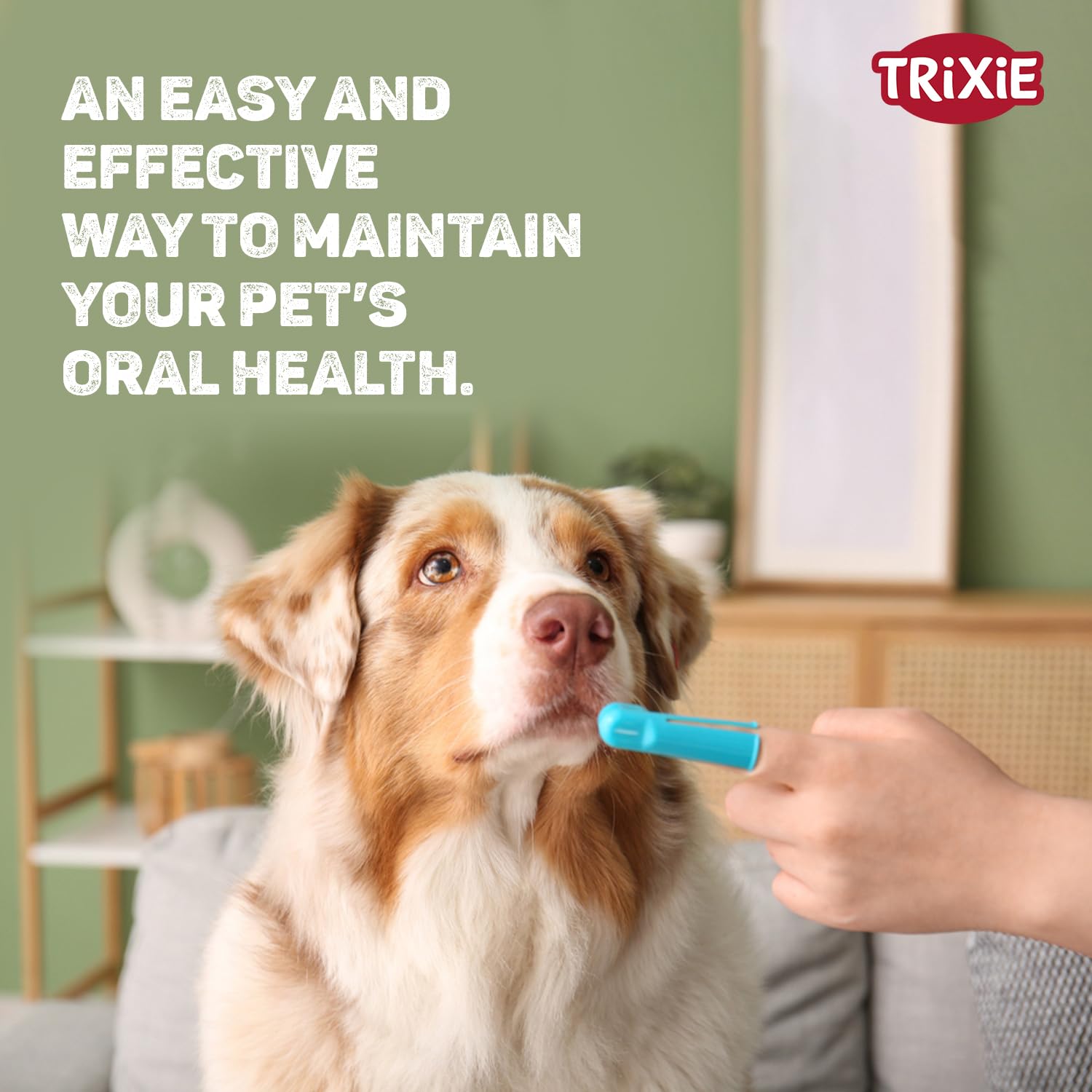 Trixie: - Tooth Brush Set | Finger Brush for Dogs and Cats | Made with Soft Bristles to Gently Clean Teeth, Prevent Gum Disease and Tooth Decay | Helps in Providing Dental Care – Pack of 2 (6cm) 1