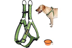 No-Pull Dog Harness for Large Breeds, XXL, Green