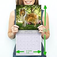 Vista 1519 de Razas de Perros 2017