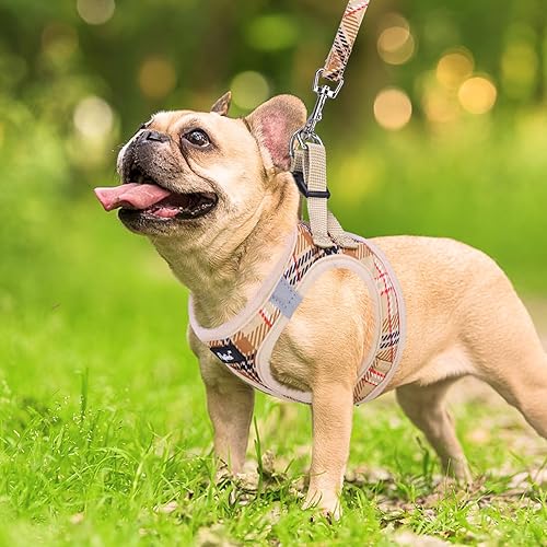 Miniatura 7 de PUPTECK Juego de arnés y correa para perro arnés de malla suave sin tirones ajustable para perros pequeños gatos que caminan reflectante por la