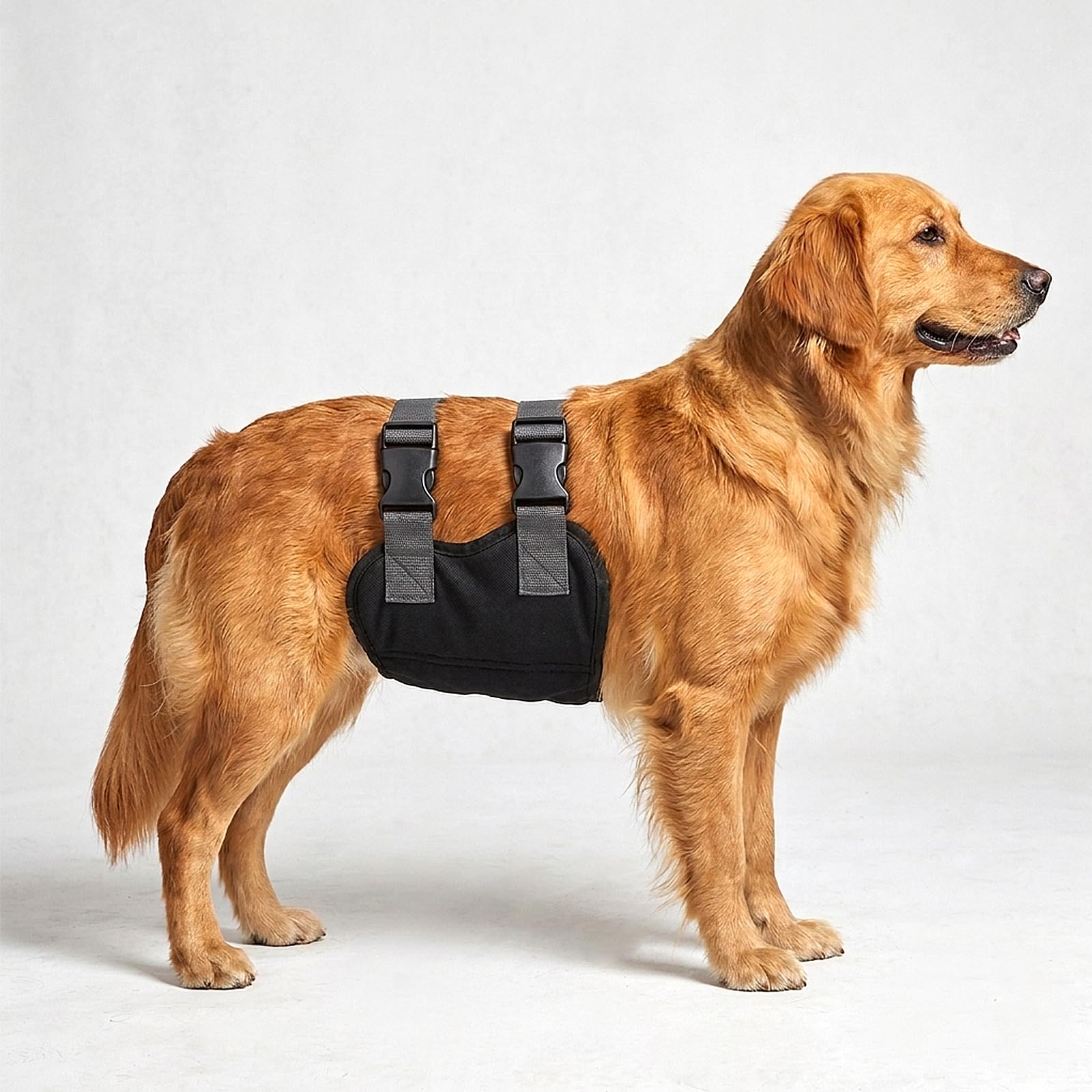 Colenumone Dog Diapers Male, Washable Male Dog Belly Band with Dual Minimalist Narrow Straps, Pee Wraps for Doggie in Incontinence or Excitable Urination and Training(Black,Size L)