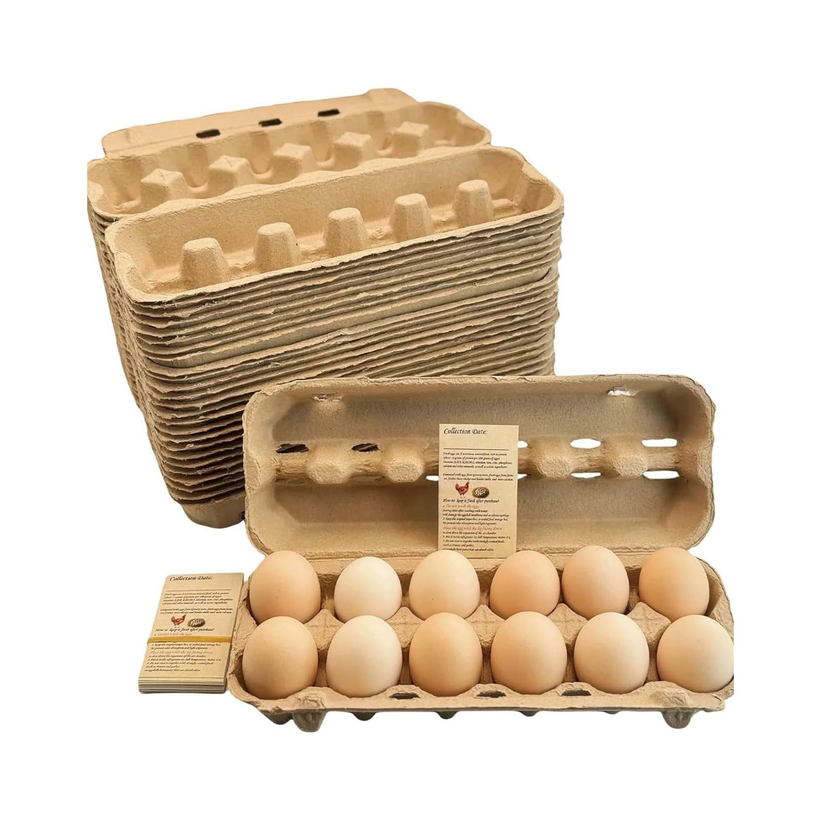 Confezioni uova pasta carta biodegradabili 12 uova antiurto, 3 confezioni da 25 pezzi = 75 scatole totali for 900 uova, fattoria e uso domestico