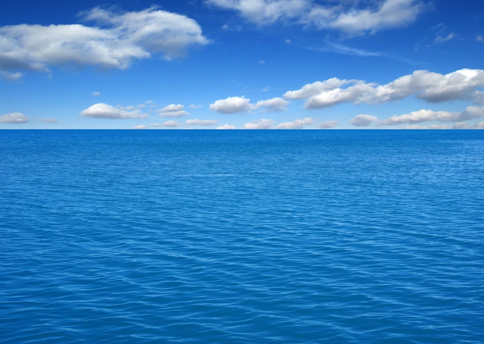 4.5x2.5m Toile de Fond de mer, Horizon Blanc, Nuage, Photographie, Fond de mer, océan, été, mer, Mariage, fête d'anniversaire, décoration d'intérieur, Accessoires de Cabine Photo