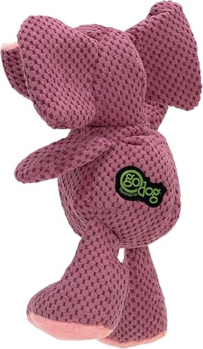 Vista 171 de goDog Checkers Just for Me - Juguete chirriante afelpado para perro, con tecnología Chew Guard, diseño de cerdo volador, color rosa, tamaño miniatura