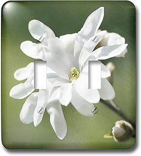 3dRose lsp_270422_2 White Magnolia Flower, Green Background, Stylized Photo Toggle Switch, Mixed